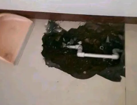 滁州市卫生间测漏水多少钱